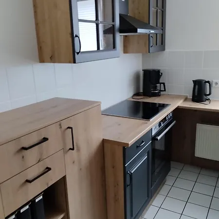 Grosse Monteurswohnung 4 Personen Апартаменты Глаухау